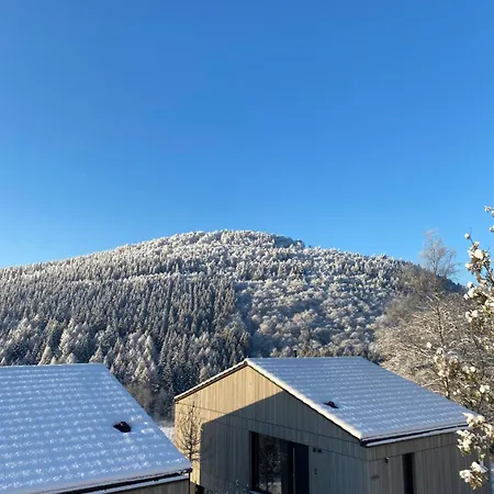 Sauerland Lodge - Haus Juliana-3